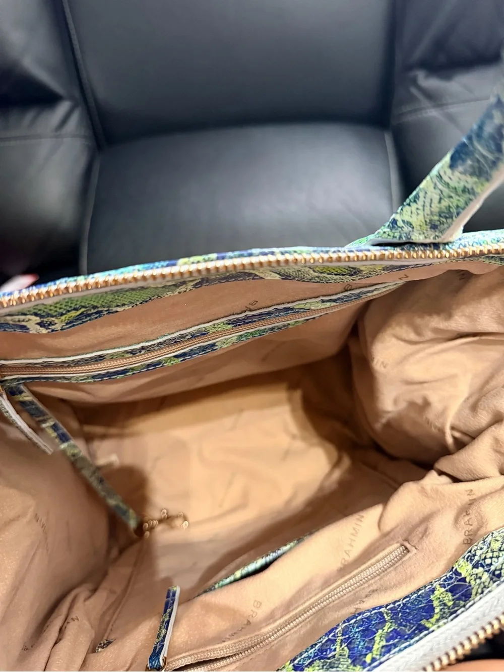 Brahmin… Small Caroline in Green Viper